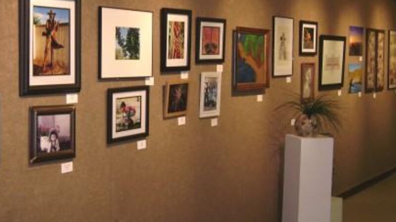 19th Annual Exhibit 2008 Wall of NAP Exhibition in Lubbock, TX