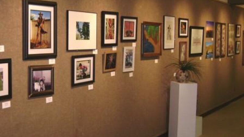 19th Annual Exhibit 2008 Wall of NAP Exhibition in Lubbock, TX