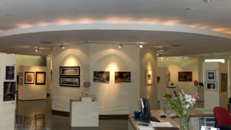 1st Annual Exhibit The First Annual NAP Show on display in the Memorial Student Union Gallery at the University of Arizona