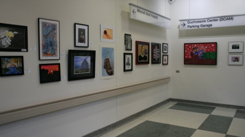 6th Annual Exhibit Artwork from the 6th Annual NAP Exhibition at the University of Chicago Medical Center
