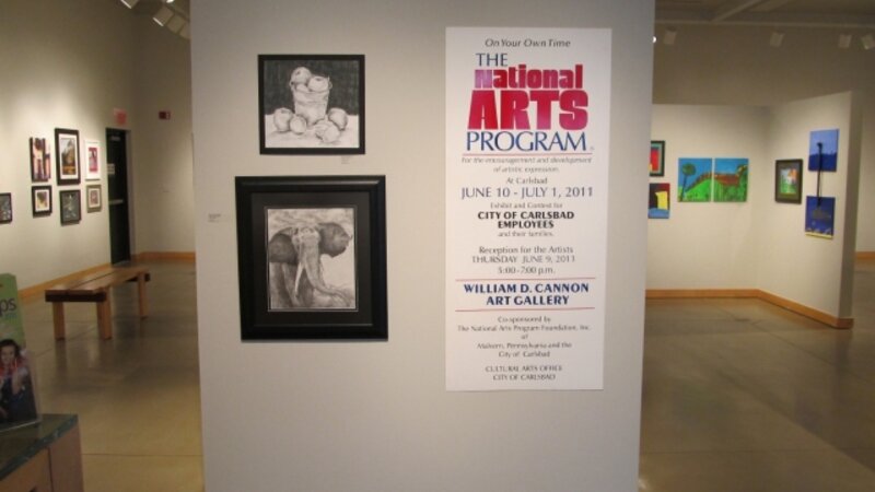 6th Exhibit Title Wall from the 6th Annual NAP Exhibition in Carlsbad, CA