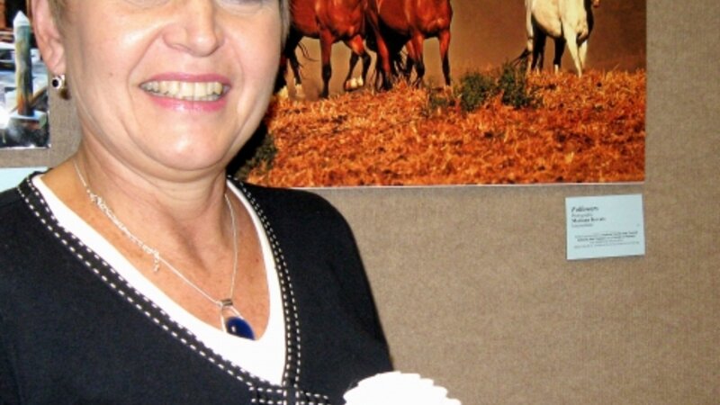 11th Annual Exhibit Followers