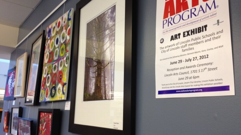 6th Annual Exhibit Artwork from the 6th Annual NAP Exhibition in Lincoln, NE on display at one of their library locations