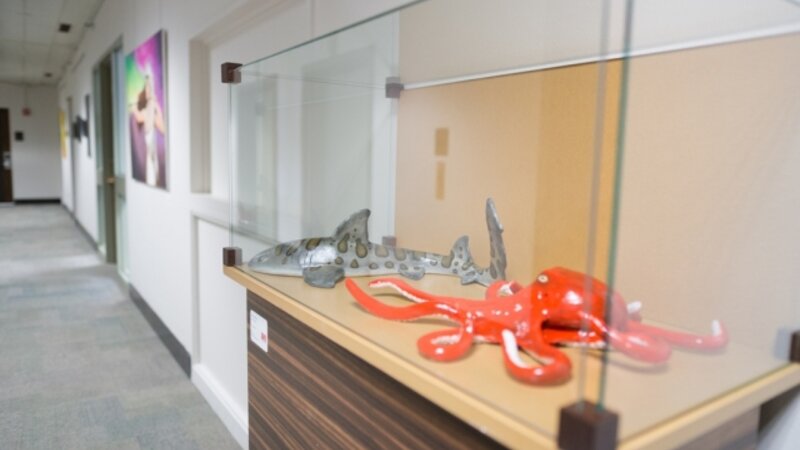 9th Annual Exhibit Leopard Shark & Giant Pacific Octopus