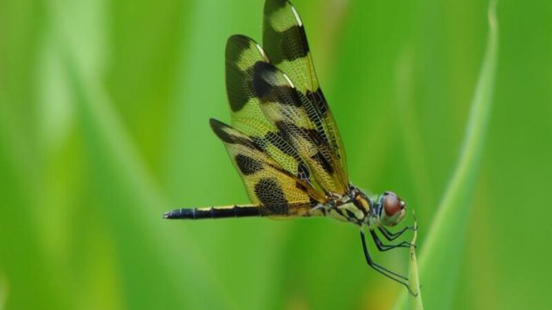 4th Annual Exhibit Holding On