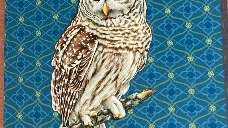 5th Annual Exhibit Nigh Skies and Fireflies