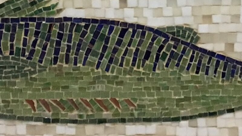 11th Annual Exhibit Sushi