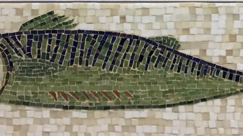 11th Annual Exhibit Sushi