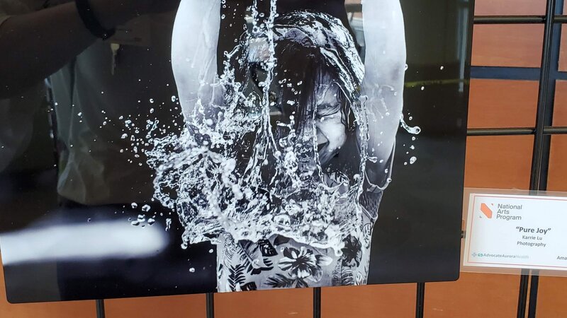 6th Annual Exhibit Pure Joy by Karrie Lu, Second Place Adult Amateur Award Winner