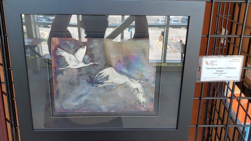 6th Annual Exhibit Two flying majestic Whooping Cranes