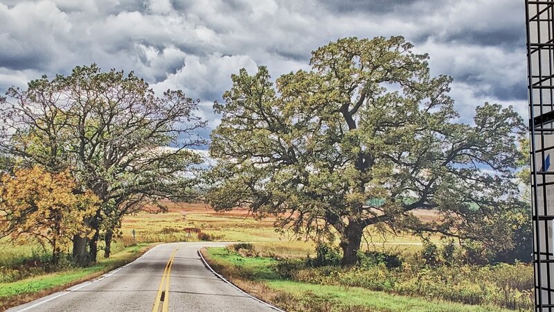 6th Annual Exhibit The Road Goes on Forever