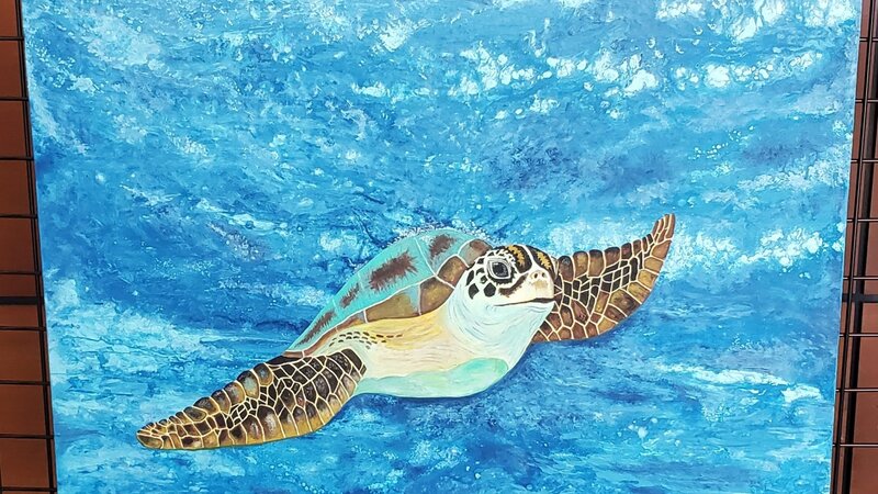 6th Annual Exhibit Sea Turtle