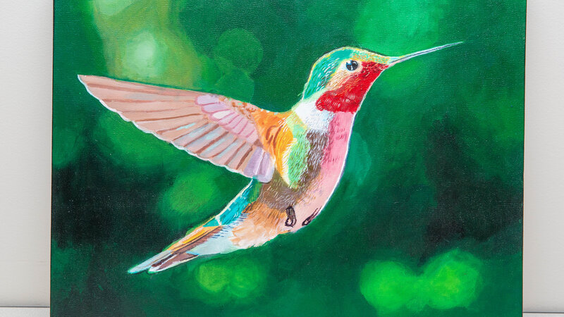 The Hummingbird