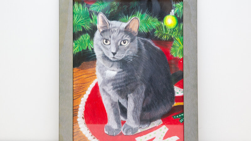 Louie the Christmas Cat