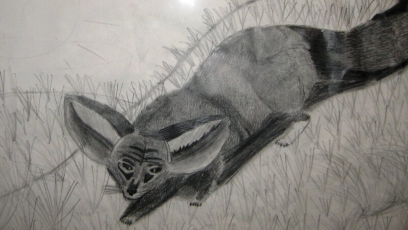 7th Annual Exhibit Desert Fox