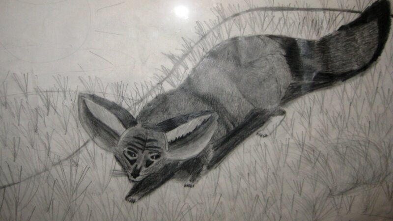 7th Annual Exhibit Desert Fox