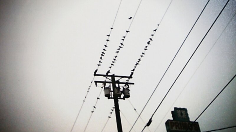 8th Annual Exhibit Sunday Morning Call