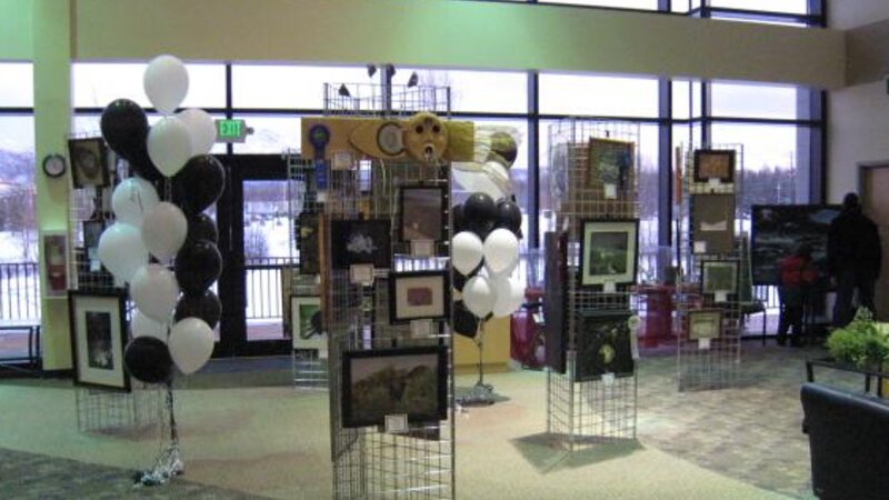 2nd Annual Exhibit A view of the 2009 Exhibit Gallery