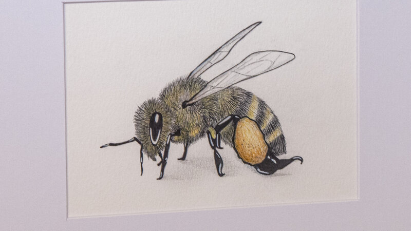 Bee