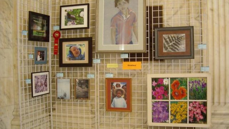 4th Annual Exhibit 2010 Amateur Display Area #1