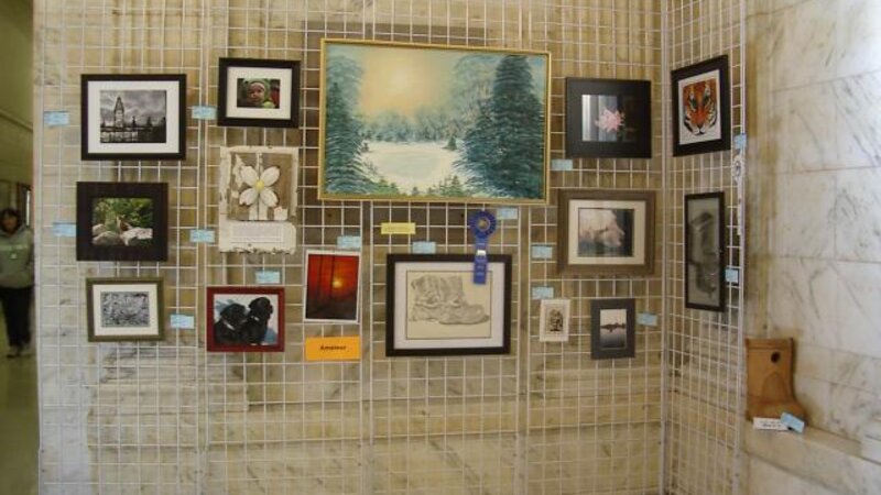 4th Annual Exhibit 2010 Amateur Display Area #2