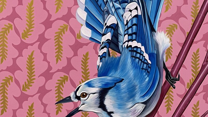 It's Your Day, Blue Jay