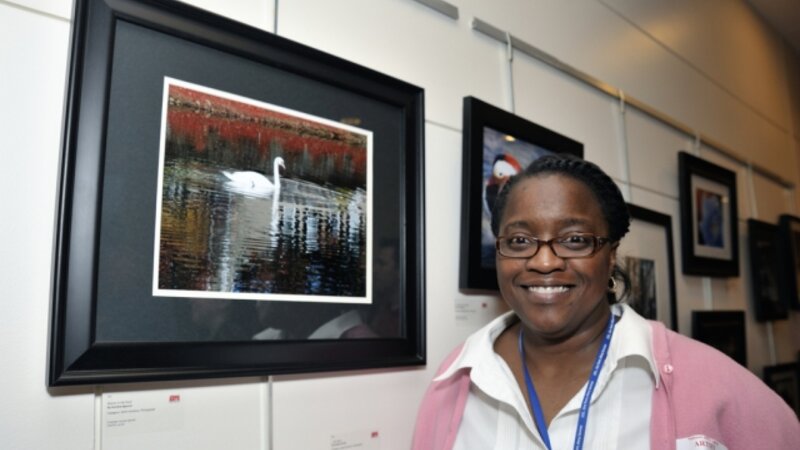 12th Annual Exhibit Beauty in the Pond