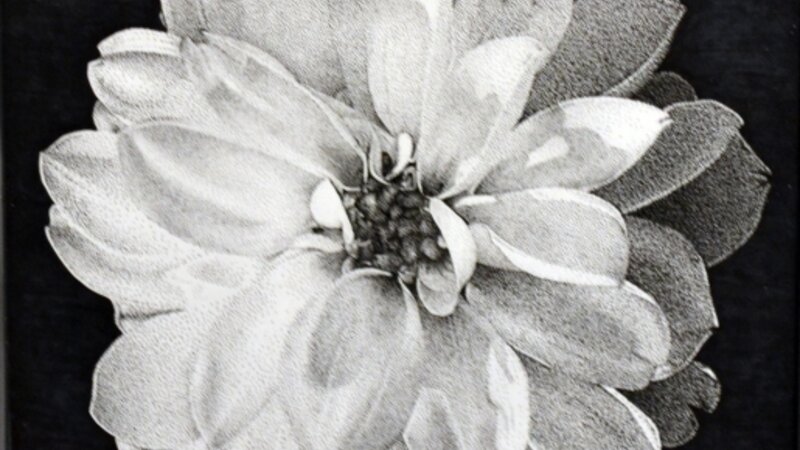 3rd Annual Exhibit Flower