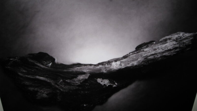 3rd Annual Exhibit Creek with Driftwood