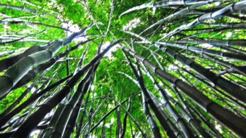 7th Annual Exhibit Kriss Kross