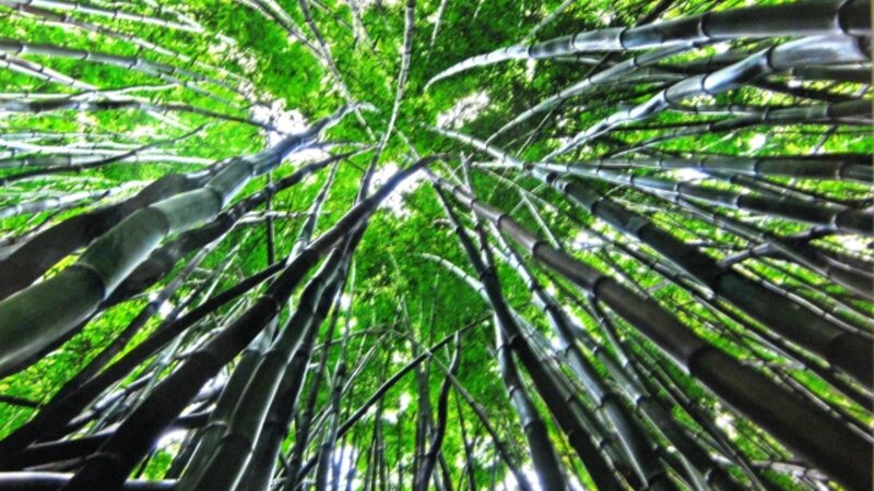 7th Annual Exhibit Kriss Kross