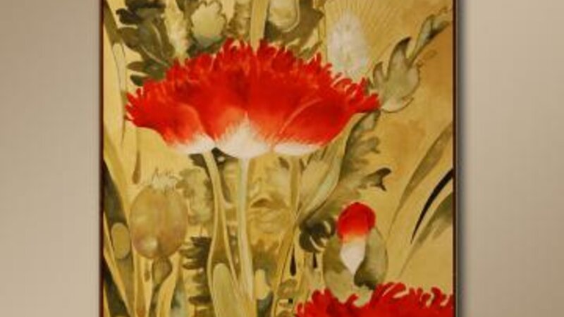 5th Exhibit Wild Poppies