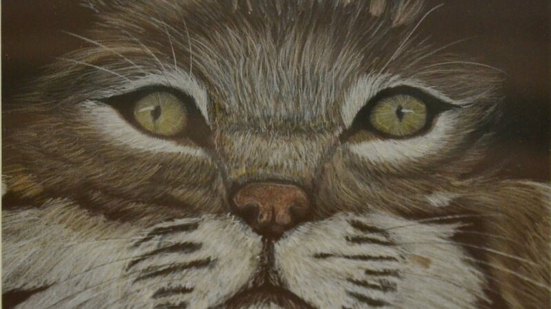 8th Annual Exhibit Watching