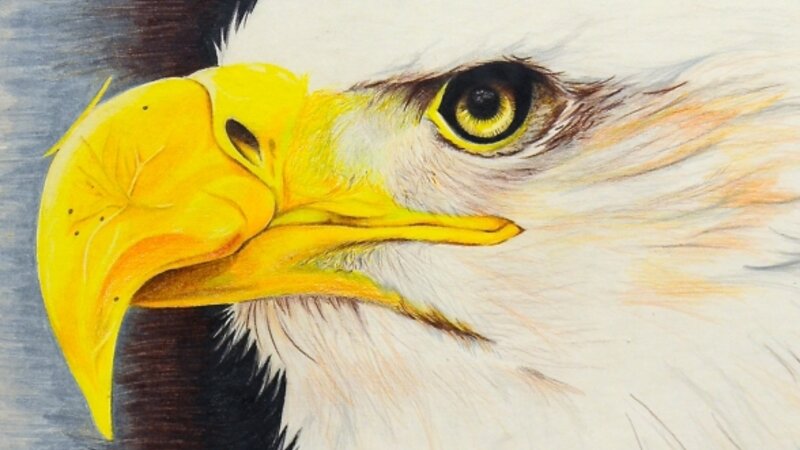 8th Annual Exhibit Freedom