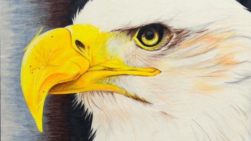 8th Annual Exhibit Freedom