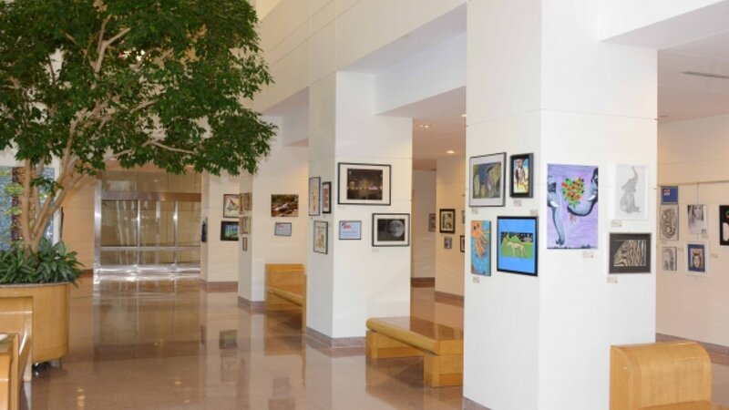 15th Annual Exhibit The hallways of the Charlotte-Mecklenburg Government Center full of NAP artwork