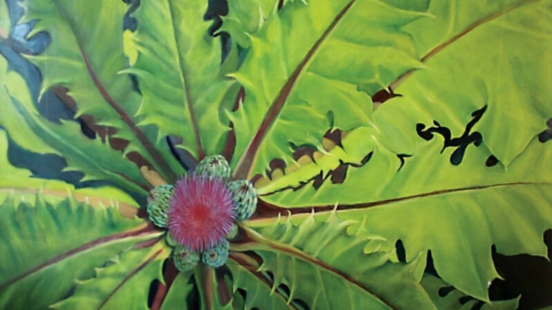 8th Annual Exhibit Drummonds Thistle