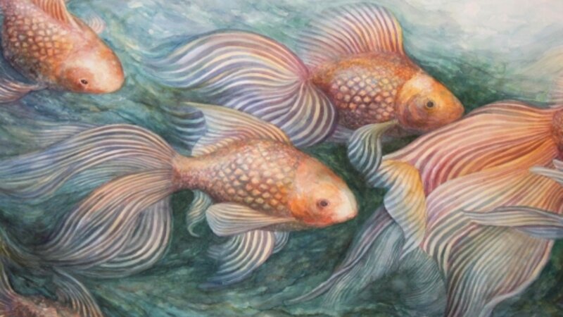 2nd Annual Exhibit Goldfish