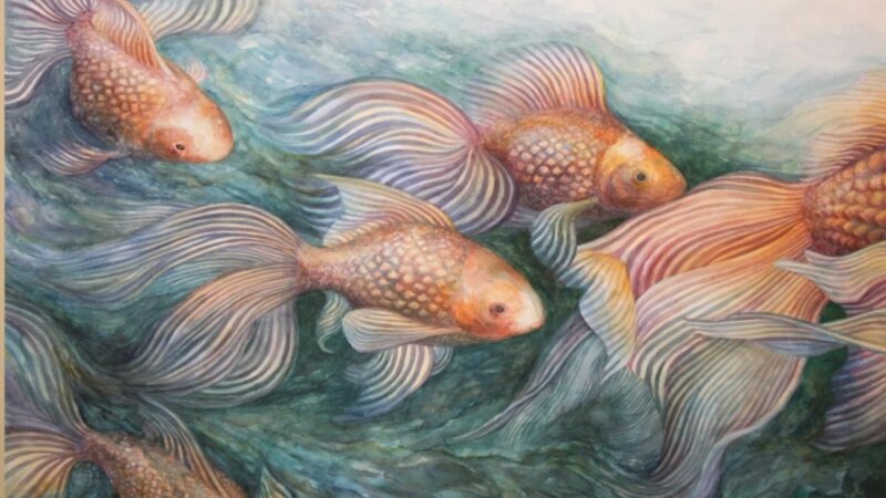 2nd Annual Exhibit Goldfish