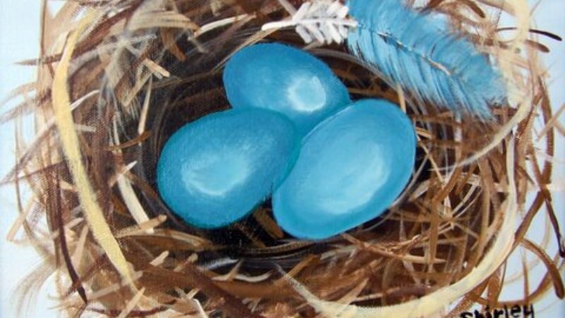 3rd Annual Exhibit Home