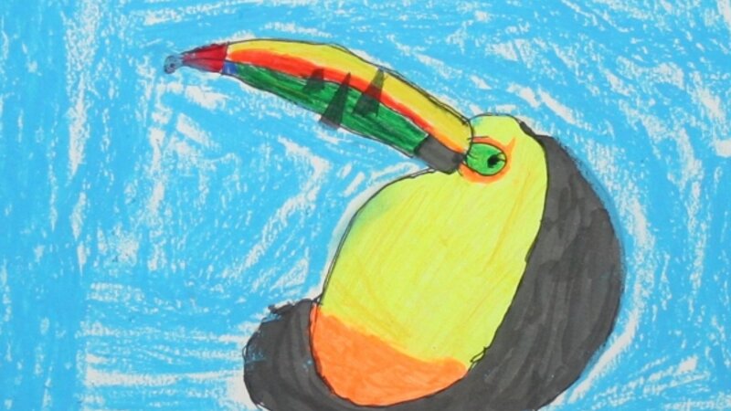 2nd Annual Exhibit Parrot Self Portrait