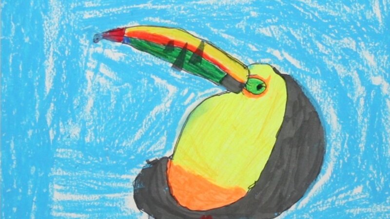 2nd Annual Exhibit Parrot Self Portrait