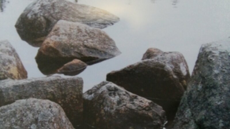 7th Annual Exhibit Jason's Pond ...