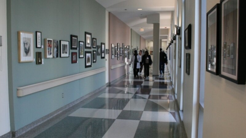 7th Annual Exhibit The DCAM Skybridge of The University of Chicago Medicine displayed more than 175 pieces of artwork from employees and their family members.