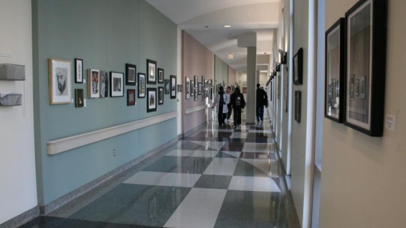 7th Annual Exhibit The DCAM Skybridge of The University of Chicago Medicine displayed more than 175 pieces of artwork from employees and their family members.