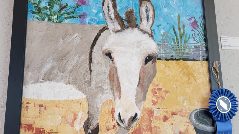 My Sweet Little Donkey painting First Place Intermediate Award Winner