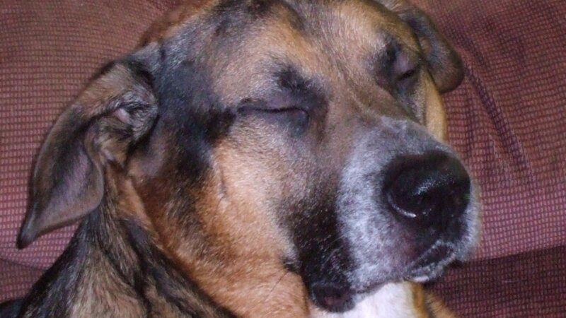 3rd Annual Exhibit Gabriel Asleep