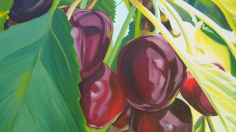 8th Annual Exhibit Papa's Cherries