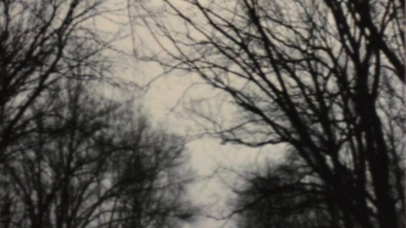 4th Annual Exhibit Just Before Snow Falls