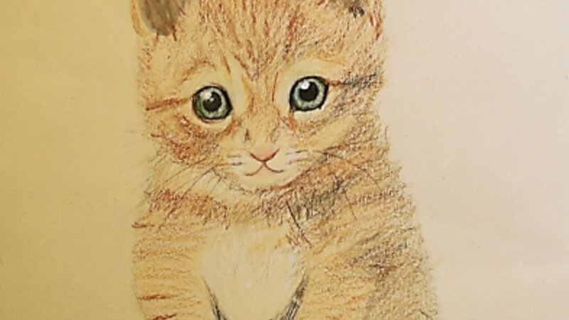 10th Annual Exhibit Meow